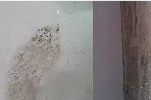 不銹鋼保護膠膜殘留膠水處理方法